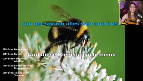 Endlich Karaoke matyHoly