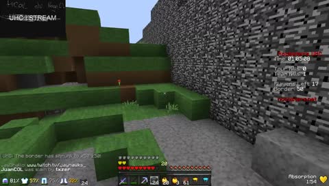 Winning NoobstersUHC!