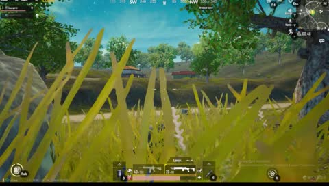 просто стрим
