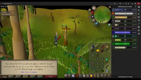 african cultural appropriation