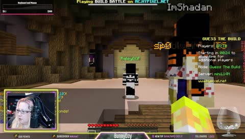 Hypixel with Followers!