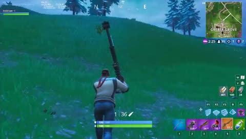 Nice snipe