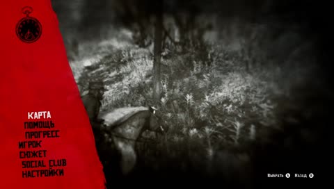 Wild Wild West ˁ˙˟˙ˀ  