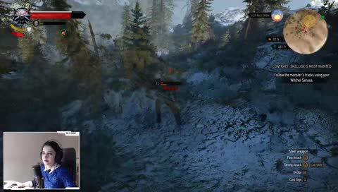 [PC] Witcher 3: Side Questing. LVL26. Blind. Blood and Broken Bones.  Sparkles for Hlwn!