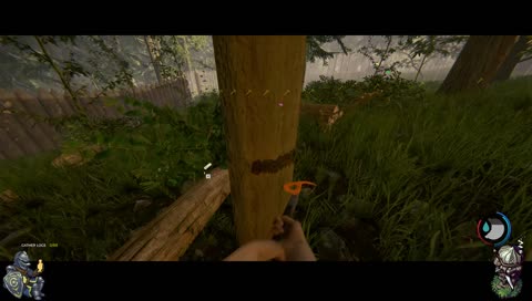 Do a Barrel Roll!