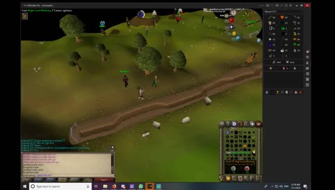 alching and flipping