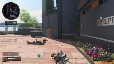 [콜오브듀티 블랙옵스4]비인기 스트리머가 비인기 총기 다루는 방송.