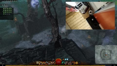 ☕ daily, farm und schnatterei | #GW2#coffee #varietyDE cat cam vielleicht am start :O