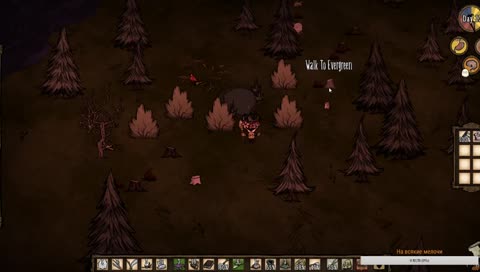 Стримець по Don't Starve Together 