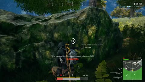 Pollo, pollito, pollo