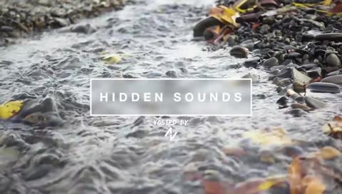 Hidden Stream - Every Thurs @ 2PM ET US