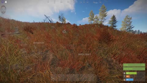 Lidt chill Rust WIPE HYPE !sr 