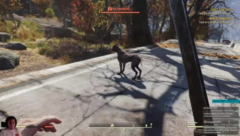 fantastic freak fangirls for fiesty fallout