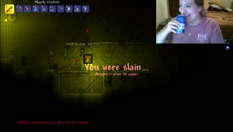 Terraria! Come hangout!