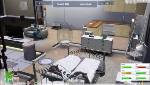 Breed Out The Ugly | !discord