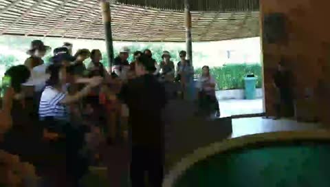 IRL in real life:Thailand! Tiger petting zoo?!?!