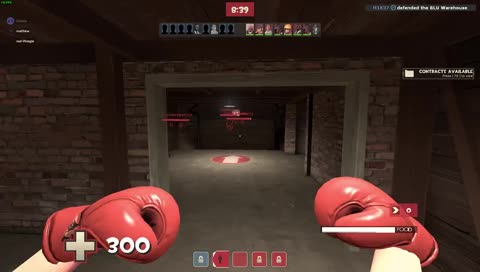 tf2 with 1 german lad