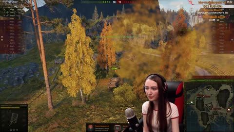 World of Tanks / День 28 / Поднимаю стату! Играю со зрителями!