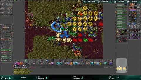 PT TOP INABRA * Lets'go EXP