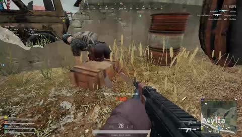 Pubg z randomami
