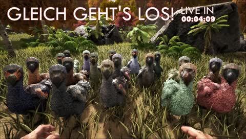 ARK VALGUERO • Die MOD-CONTEST Gewinner! • Freitag ab 20 Uhr [DE]