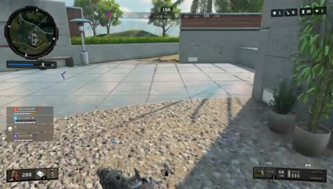 Chillen’ on Blackout | short stream | TGIF 