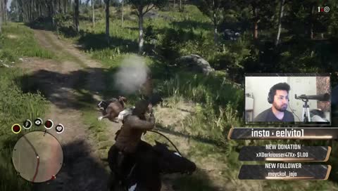 RDR2