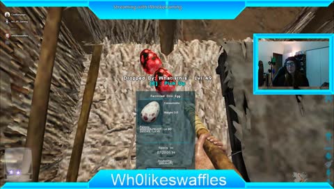 Hatching Dinos!! with friends