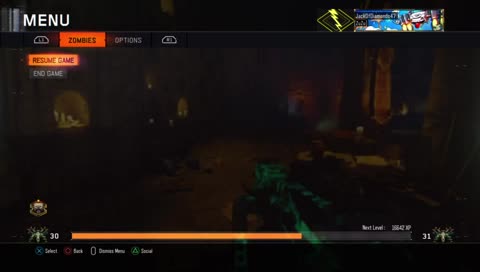 Asmr stream