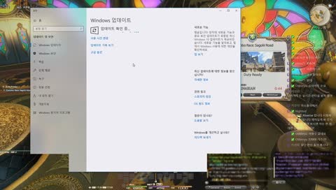 파판14☆글로벌☆ 레이싱 초코보 키우기