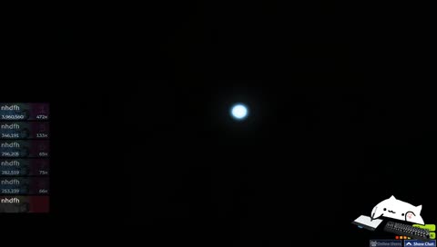 дикий тусич