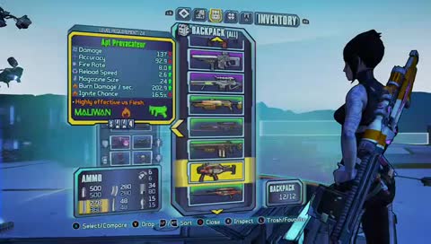 Extra Life BL2 Race