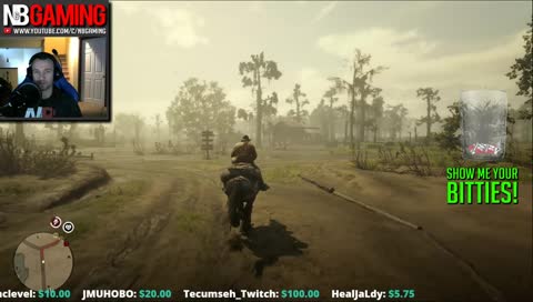 Red Dead Redemption 2 with N&B!