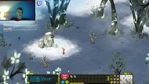 dofus : j xp avec vous