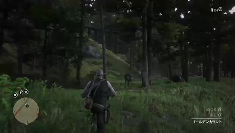 えくすとりーむなんちゃら