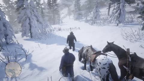 Похождение на диком западе