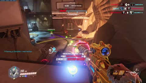 PLAYING WITH THE FLOCK YO