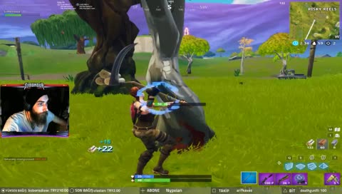 Ağaç sincapları vs Simo :)