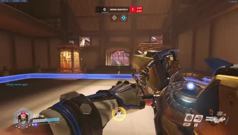 Placing the cute sea animal