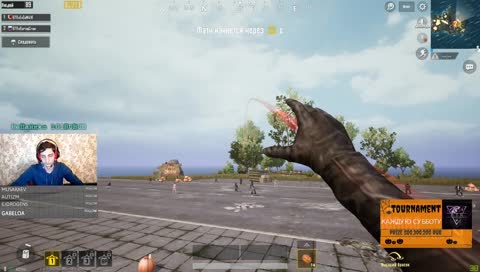 Соло релакс