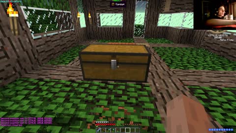 Тупа домек на дереве