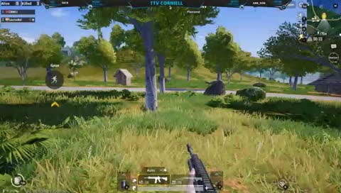 PLAYING WITH VIEWERS 