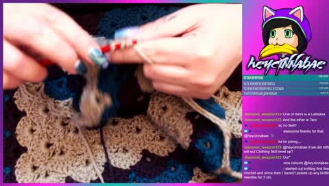 Cat Cam time-too busy cleaning to even notice lol