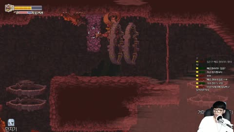 카드니의 부-엉 보이