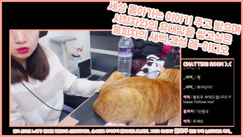 냥이랑 수다방