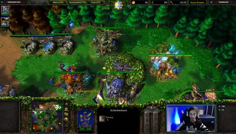Warcraft Tag 25 - chillen mit den Bäumen