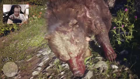 [DE] RDR 2. Episode 2. Ich erkunde die Welt! 