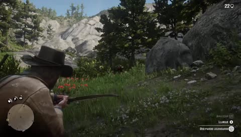 Quien había apostado por el oso?