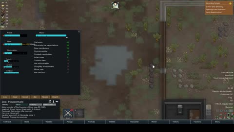 Bowl of Petunia's streaming service