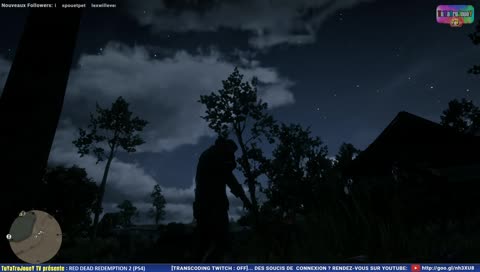 [Suivi d'aventure] RED DEAD REDEMPTION 2 (PS4) #PepiTwitch